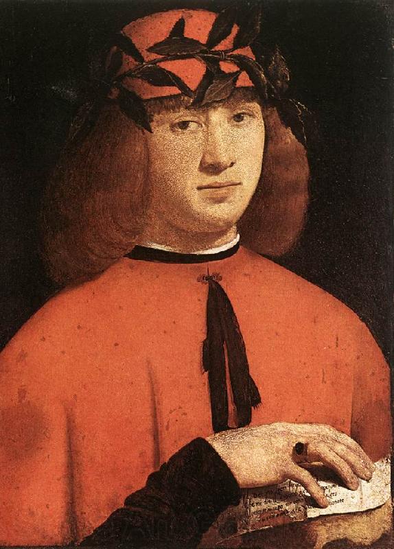 BOLTRAFFIO, Giovanni Antonio Portrait of Gerolamo Casio Germany oil painting art